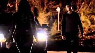 The vampire diaires-elena & damon-gabrielle aplin-salvation