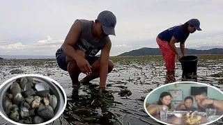 CATCH AND COOK SEA SHELL MUKBANG | BUHAY PROBINSYA | BUHAY ISLA