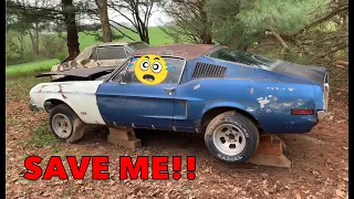 1968 Mustang Fastback "Barn Find" Will Break Your Heart