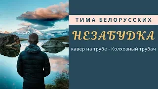 Незабудка (Тима Белорусских) кавер на трубе