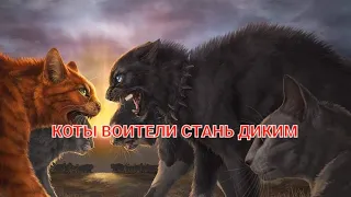 коты-воители Стань диким 3 серия