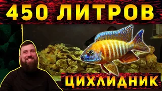 ДОМАШНИЙ АКВАРИУМ С ЦИХЛИДАМИ 450 ЛИТРОВ! ЕЩЕ ОДНА РАБОТА АЛЕКСЕЯ!