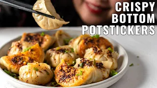 How to SUCCESSFULLY Make Potsticker Wrappers | 3 Ingredients | Gyoza Wrappers