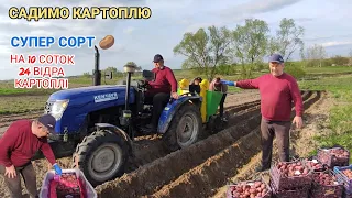 Садимо картоплю. Обробка картоплі перед посадкою. Херсонці на Львівщині