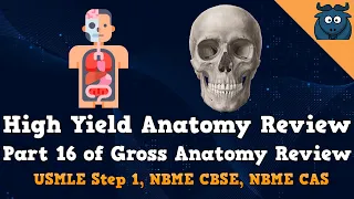 High Yield Anatomy Review Part 16 (USMLE Step 1, NBME CBSE, and NBME CAS)