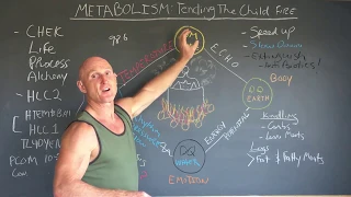 Metabolism: Tending the Child Fire