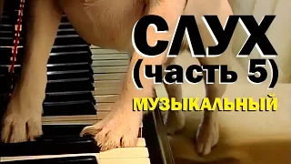 Галилео. Слух 5. Музыкальный слух