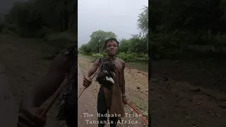 Hunting in the Rain with 40,000 year old African Tribe