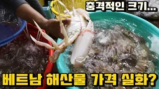 베트남 싱싱한 해산물 시장! 충격적인 가격... 실화냐?ㄷㄷ | Fresh Seafood In Vung Tau, Vietnam