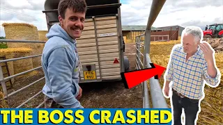 Who’s Fault Was The Crash? | Cows Quick Turn Around