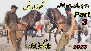 Ghora Dance 2023 (Part 03 ) l Pakistan Punjab Horse Dance l Ghora Dance with Dhol