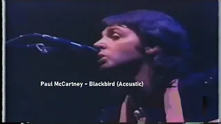 Paul McCartney ~ Blackbird  (Acoustic) ~ 1976 ~ Live Video, From Wings Over America Tour