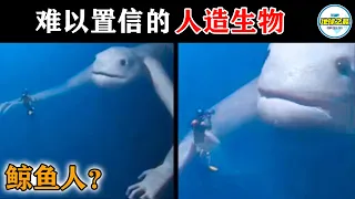 难以置信的人造生物！10个潜藏在水下的恐怖发现！丨地球之最#冷知识 #排名 #世界之最#动物#动物世界#海洋#世界之最top#出类拔萃#变异动物#未知生物#top10