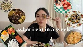 what i eat in a week (some simple & easy korean recipes)