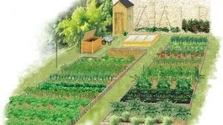 Les principes de la rotation des légumes au potager