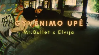 Mr.Bullet x Elvija - GYVENIMO UPĖ (Premjera 2024/04/10)