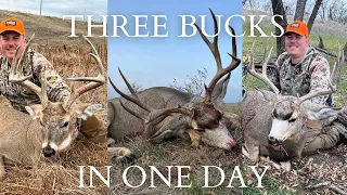 THREE BUCKS IN ONE DAY! | South Dakota Mule Deer and Whitetail | Rifle and Archery Hunting