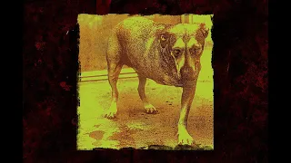 Alice In Chains - (Fan Edit 56 Minutes) Tripod - Three Leg Dog - 1995 Self Titled Album