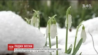 Весна на порозі: синоптики обіцяють суттєве потепління