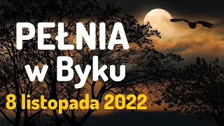 PEŁNIA KSIĘŻYCA W ZNAKU BYKA🌕8 LISTOPAD 2022🌕prognoza Tarota - wszystkie znaki zodiaku