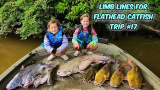 Limb Lines for Flathead Catfish on the Altamaha River Trip #17 (With The Girls)