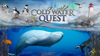 Zoo Tours: The Georgia Aquarium's Cold Water Quest