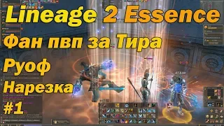 Фан за Тира (Отшельник) на Руофе Lineage 2 Essence 60-70+ Орк, нарезка пвп Lineage II Aden Tyrant l2