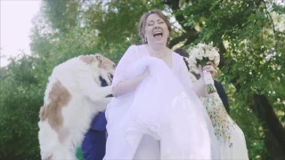 Свадьба с собакой