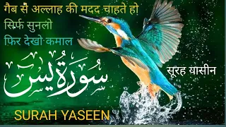 Surah Yasin (Yaseen) | Full With Arabic |Beautiful decoration rozana Yaseen /