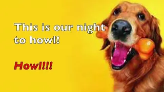 01 This is Our Night to Howl
