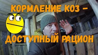 Кормление коз - доступный рацион