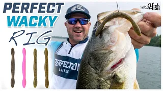 How to Wacky Rig Summer Bass With David Dudley