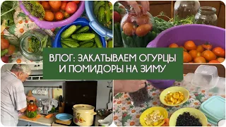 ВЛОГ: ЗАКАТЫВАЕМ ОГУРЦЫ И ПОМИДОРЫ НА ЗИМУ / «Живое» варенье из крыжовника / Загородная жизнь на юге