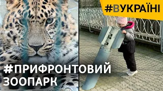 Російські ракети у Миколаївському зоопарку. Як світ рятував тварин? | #ВУКРАЇНІ