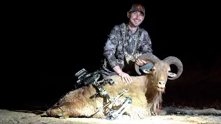 Aoudad Bow Hunting!