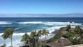 Turtle Bay Surf