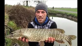 Pike fishing a small river with worms.