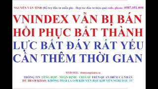 Vnindex vẫn bị bán mạnh - Hồi phục bất thành, Lực bắt đáy rất yếu cần thêm thời gian