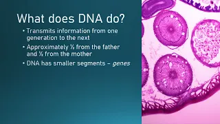 DNA and messenger RNA (mRNA)