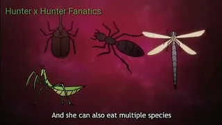 Evolution of Chimera Ants HD