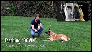 The DOWN Command - Robert Cabral Dog Training #15