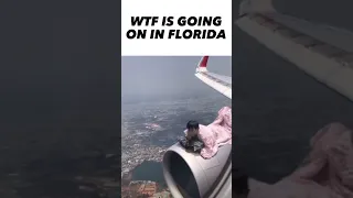 Average flight in Florida