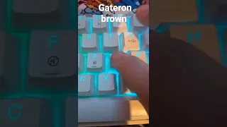 Gateron brown vs red switches