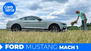 Ford Mustang Mach 1: We know who shagged our Polish teacher! (4K REVIEW) | CaroSeria