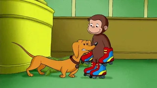 Georges le Petit Singe 🐵Patineur 🐵Saison 1  🐵 Dessins Animés