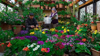 Spring Has Come | Planting a Lot of Spring Flowers and Cooking Uzbek Beef Khanum