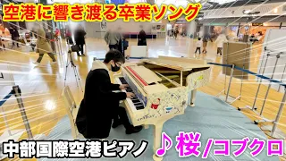 【ストリートピアノ】空港に響き渡る卒業ソング!! 中部国際空港セントレアのピアノで『桜（コブクロ）』を弾いてみた。