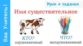 Имя существительное одушевленное и неодушевленное 1-4 класс