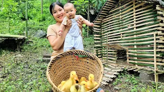 Build a Bamboo House for Ducklings and Take Care of the Garden | Single Mom Life