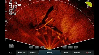 20201004 234524    LiveScope             Судачки 1